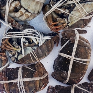 민물참게(중국 냉동)